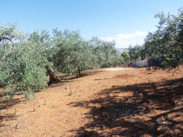 Terreno in vendita a Misilmeri, Sicilia