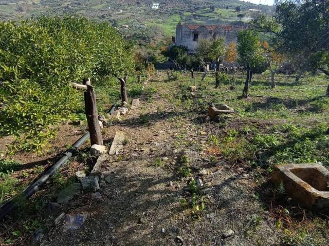 Terreno in vendita a Misilmeri, Sicilia