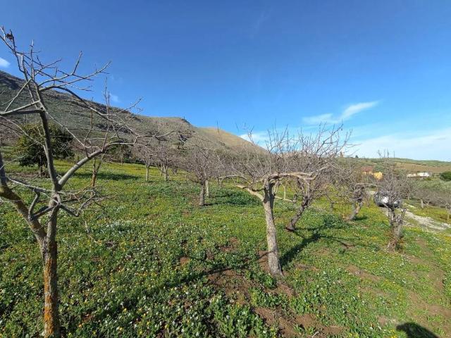 Terreno in vendita a Misilmeri, Sicilia