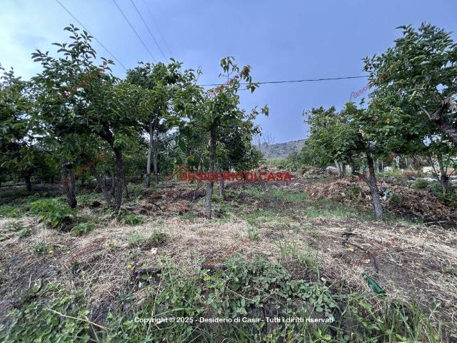 Terreno in vendita a Misilmeri, Sicilia