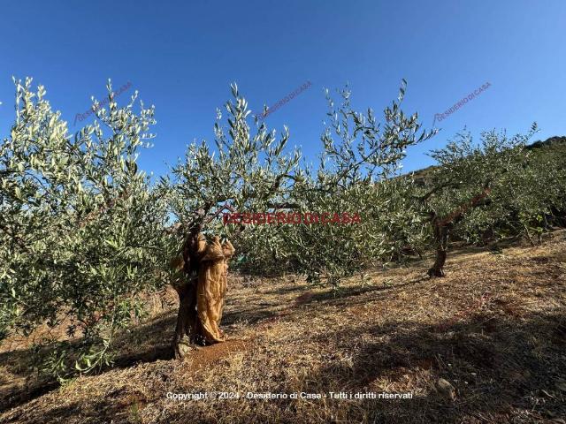 Terreno in vendita a Misilmeri, Sicilia