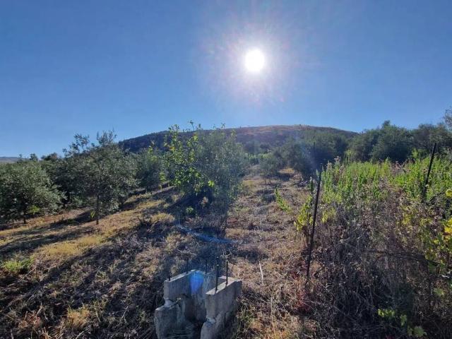 Terreno in vendita a Misilmeri, Sicilia