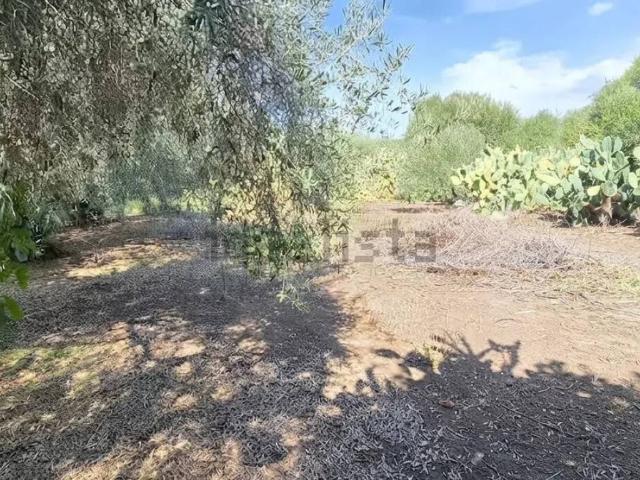 Terreno in vendita a Toscano, Misterbianco
