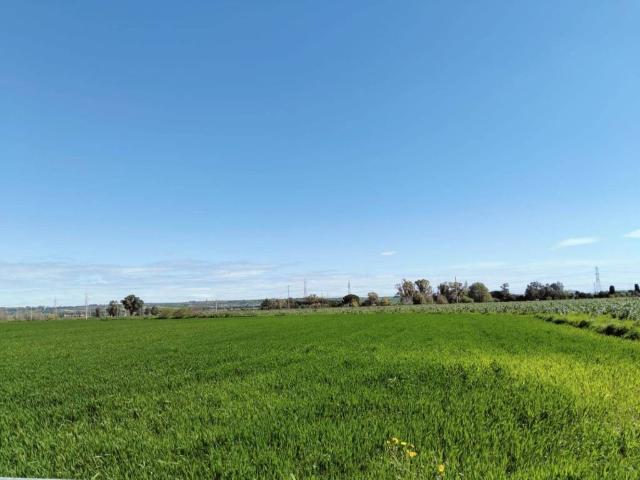 Terreno in vendita a Crocetta-San Lazzaro-Modena Est, Modena