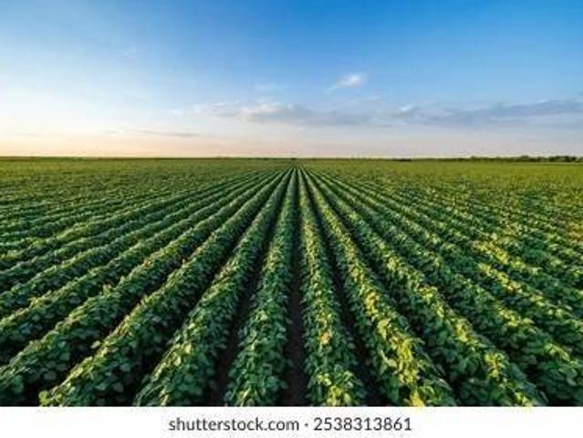 Terreno in vendita a Crocetta-San Lazzaro-Modena Est, Modena