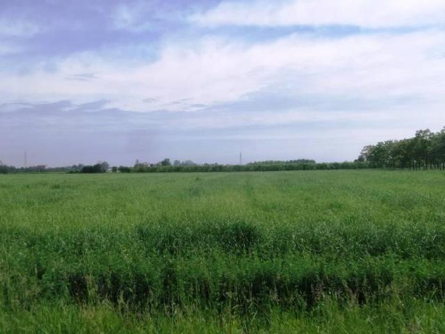 Terreno in vendita a San Faustino-Madonnina-Quattroville, Modena