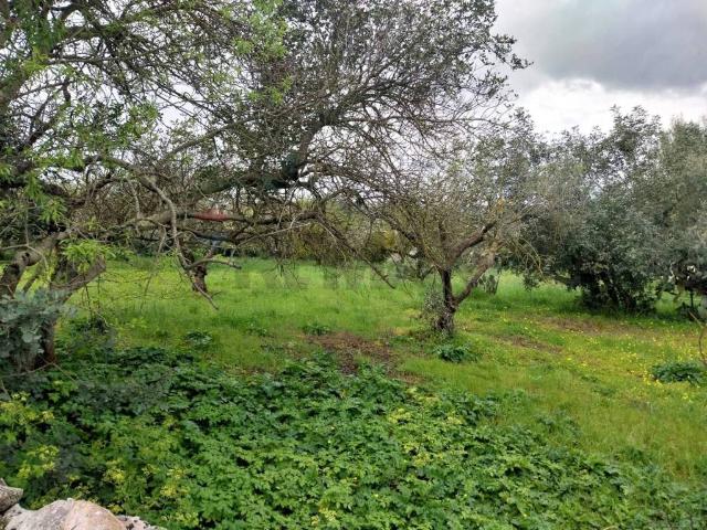 Terreno in vendita a Modica Alta, Marina Di Modica