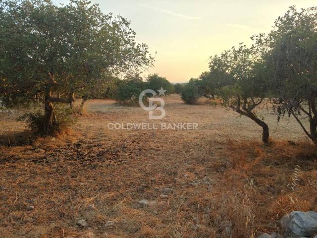 Terreno in vendita a Marina di Modica, Marina Di Modica
