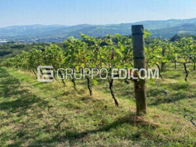 Terreno in vendita a Unione di Comuni della Romagna Forlivese, Modigliana