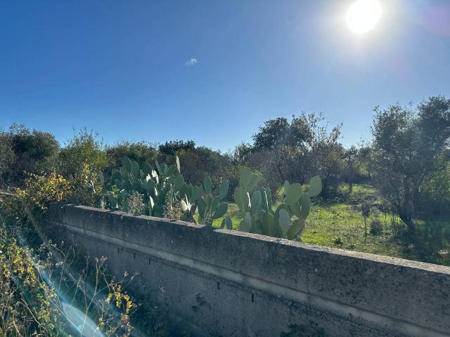Terreno in vendita a Puglia, Bari