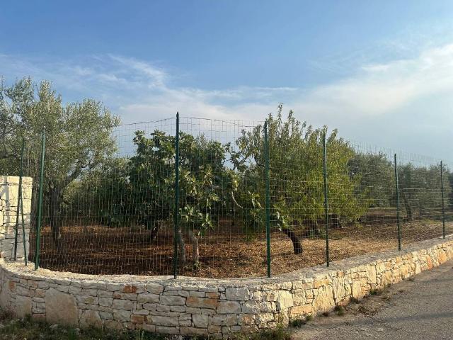 Terreno in vendita a Puglia, Bari
