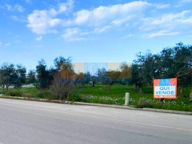Terreno in vendita a Puglia, Bari