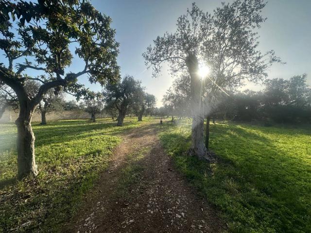 Terreno in vendita a Puglia, Bari