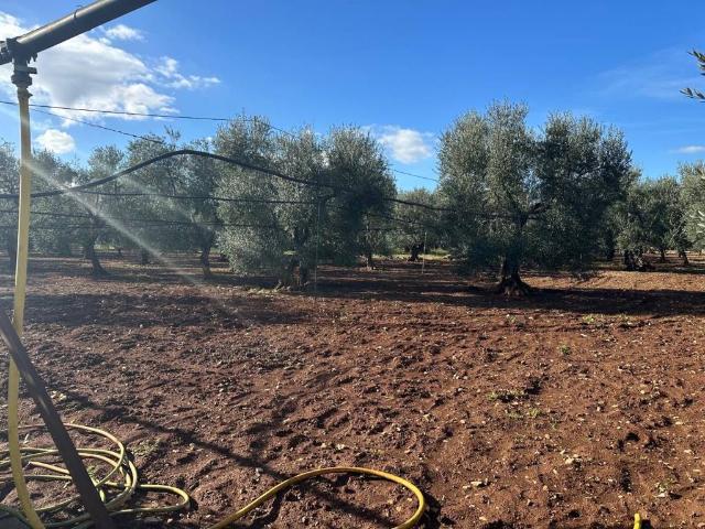 Terreno in vendita a Puglia, Bari