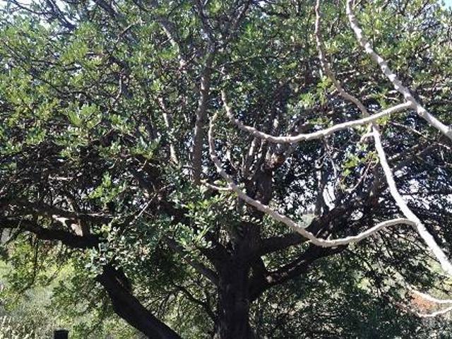 Terreno in vendita a Puglia, Bari