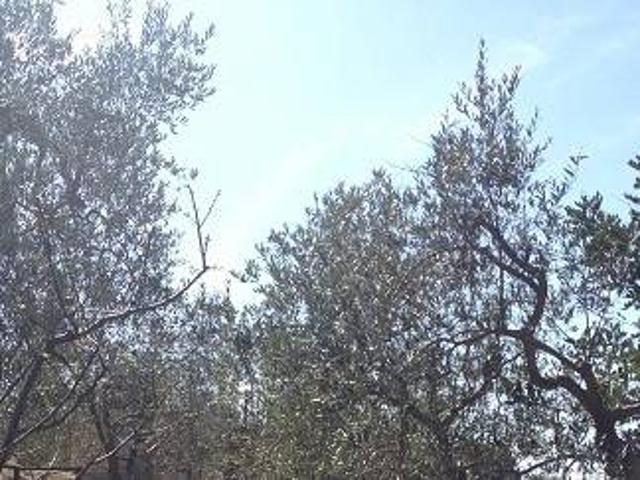 Terreno in vendita a Puglia, Bari