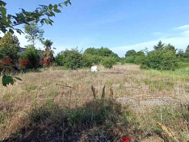 Terreno in vendita a Moglia, Lombardia