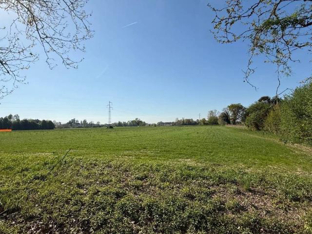 Terreno in vendita a Mogliano Veneto, Veneto