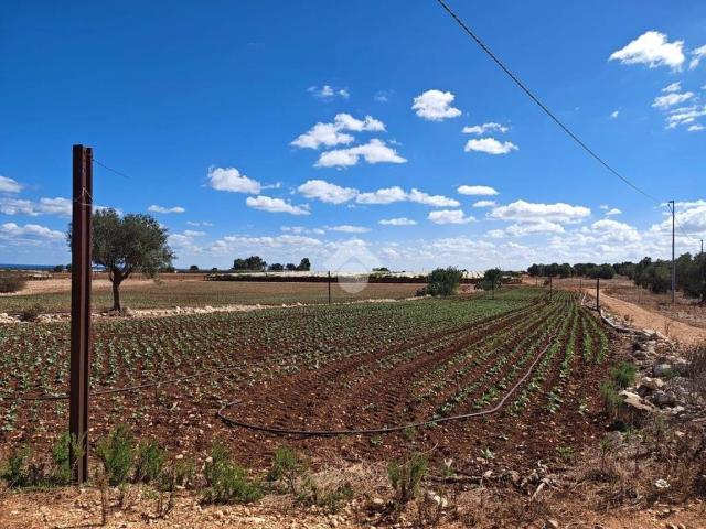Terreno in vendita a Puglia, Bari