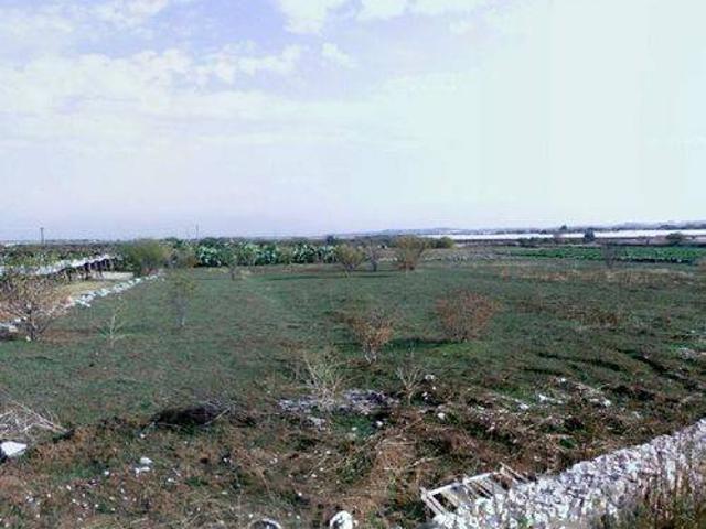 Terreno in vendita a Puglia, Bari