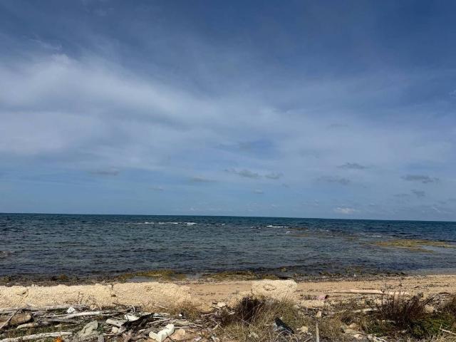 Terreno in vendita a Mola Di Bari, Bari