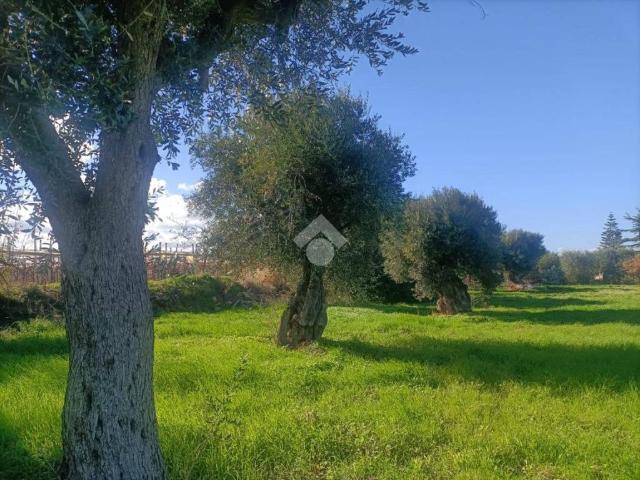 Terreno in vendita a Puglia, Bari