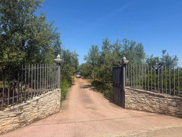 Terreno in vendita a Puglia, Bari