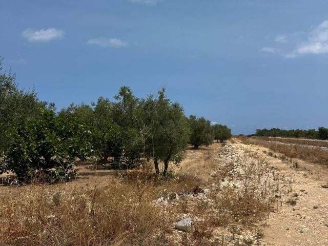 Terreno in vendita a Puglia, Bari