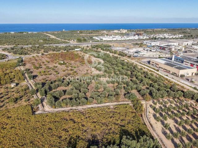 Terreno in vendita a Molfetta, Bari