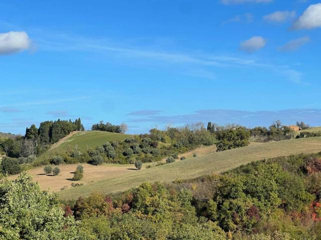 Terreno in vendita a Colli al Metauro, Marche