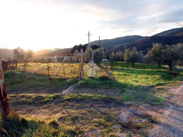 Terreno in vendita a Mompeo, Lazio