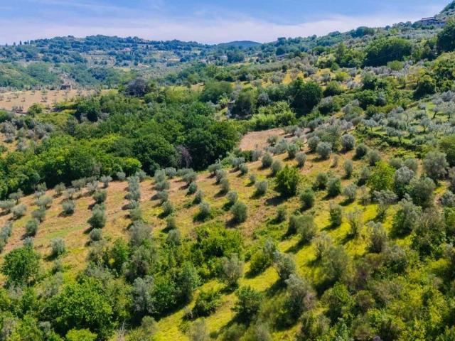 Terreno in vendita a Mompeo, Lazio