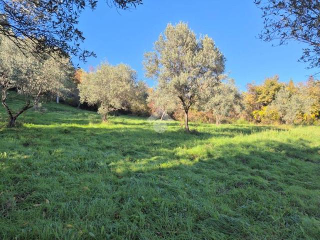 Terreno in vendita a Mompeo, Lazio