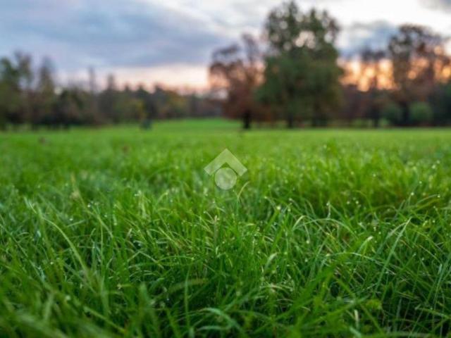 Terreno in vendita a Fornaci, Veneto