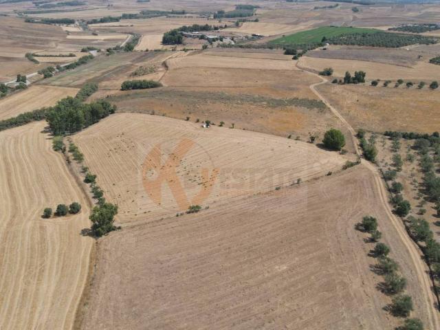 Terreno in vendita a Monastir, Sardigna/Sardegna