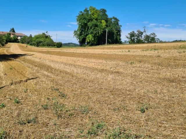 Terreno in vendita a Piemonte, Asti