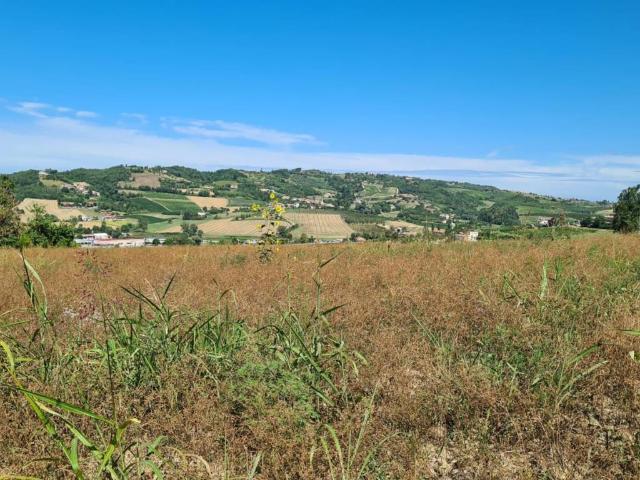 Terreno in vendita a Piemonte, Asti