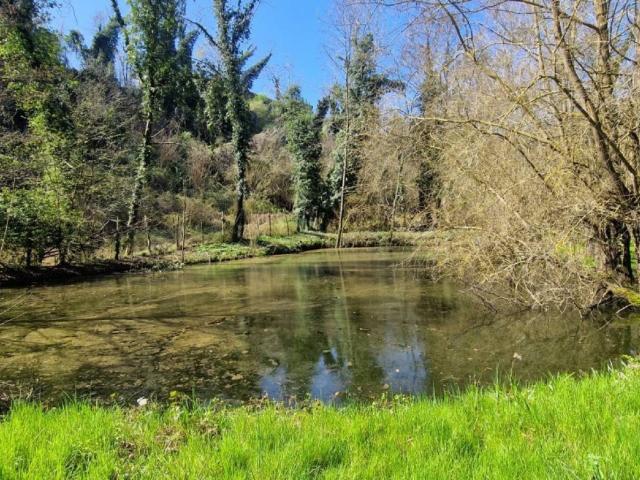 Terreno in vendita a Piemonte, Asti