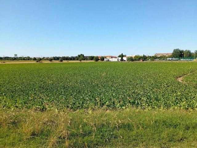 Terreno in vendita a Marche, Pesaro E Urbino