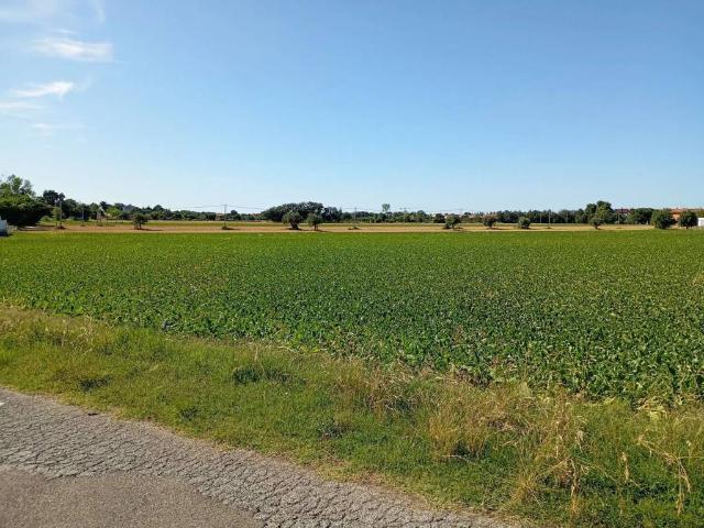 Terreno in vendita a Marche, Pesaro E Urbino