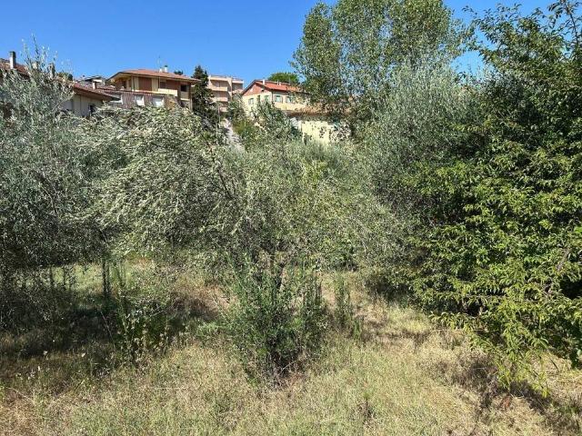 Terreno in vendita a Mondolfo, Pesaro e Urbino