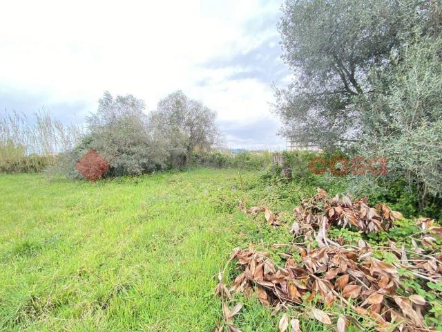 Terreno in vendita a Mondragone, Campania