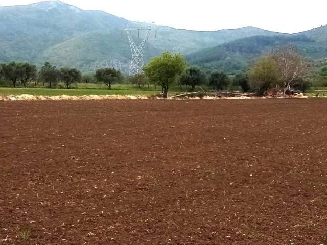 Terreno in vendita a Mondragone, Caserta