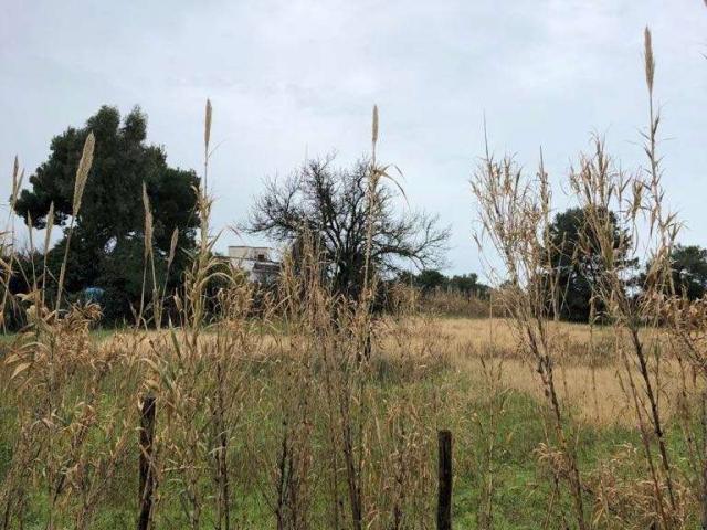 Terreno in vendita a Mondragone, Campania