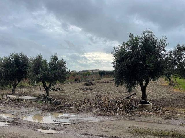 Terreno in vendita a Mondragone, Campania