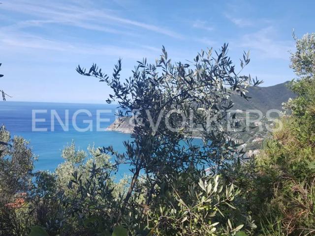 Terreno in vendita a Lemeglio, Moneglia