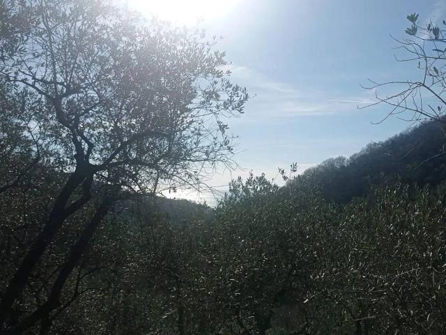 Terreno in vendita a Moneglia, Liguria