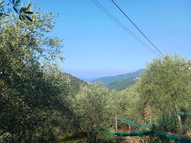 Terreno in vendita a Moneglia, Liguria