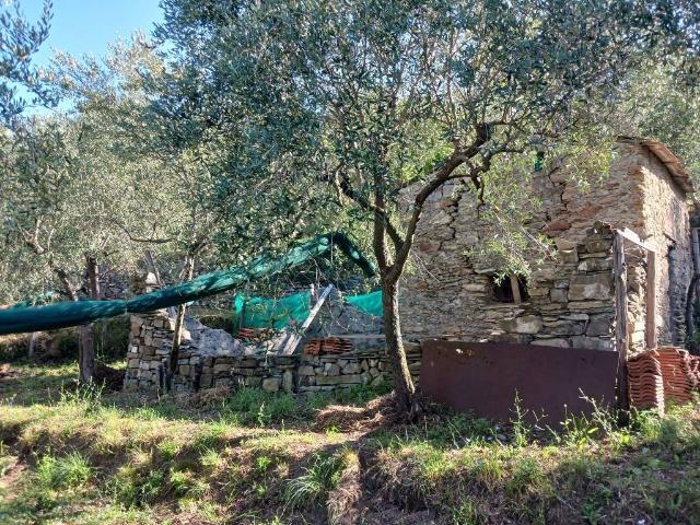 Terreno in vendita a Moneglia, Liguria