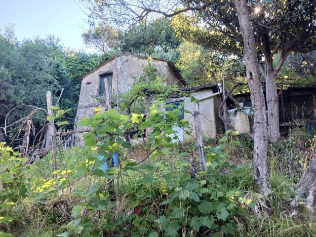 Terreno in vendita a Moneglia, Liguria
